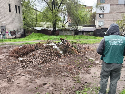 У Запоріжжі у Вознесенівському районі виявили стихійні сміттєзвалища, фото: Держекоінспекція Південного округу