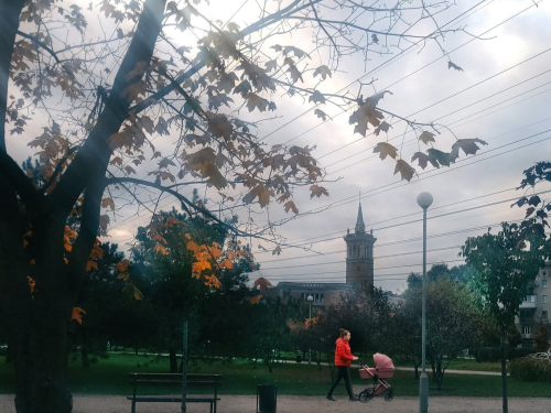 Фото Олександра Челпанова