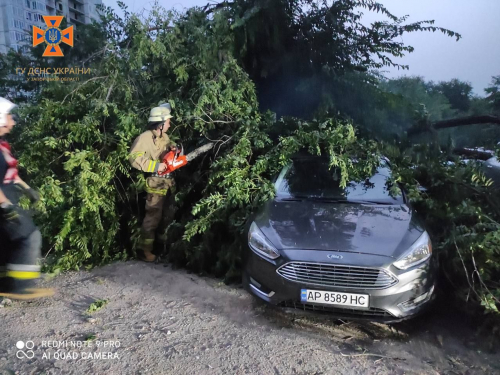 Повалені дерева та розбиті авто: які наслідки негоди у Запоріжжі (фото)