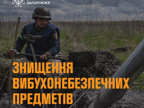 У Запорізькій області сапери знешкодили міну та дрон з вибухівкою