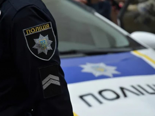 Маленький хижак - у Запоріжжі з допомогою небайдужих врятували червонокнижного птаха (фото)