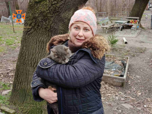 Застряг на дереві - у Запоріжжі врятували домашнього кота (фото)