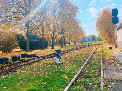 У дендропарк Запорізької дитячої залізниці прийшла золота осінь - фото