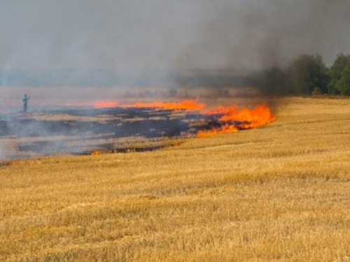 Знищують врожай - у Запорізькій області через обстріл росіян спалахнула пожежа на пшеничному полі (фото)