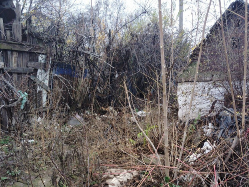 Не став миритися зі звалищем - у Запоріжжі чоловік поскаржився на безлад екологам (фото)