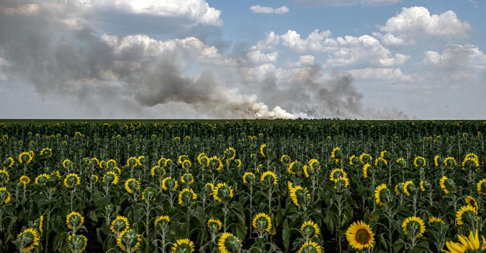 Світлина запорізького фотографа про контрасти війни стала однією з найкращих у світі в 2025 році