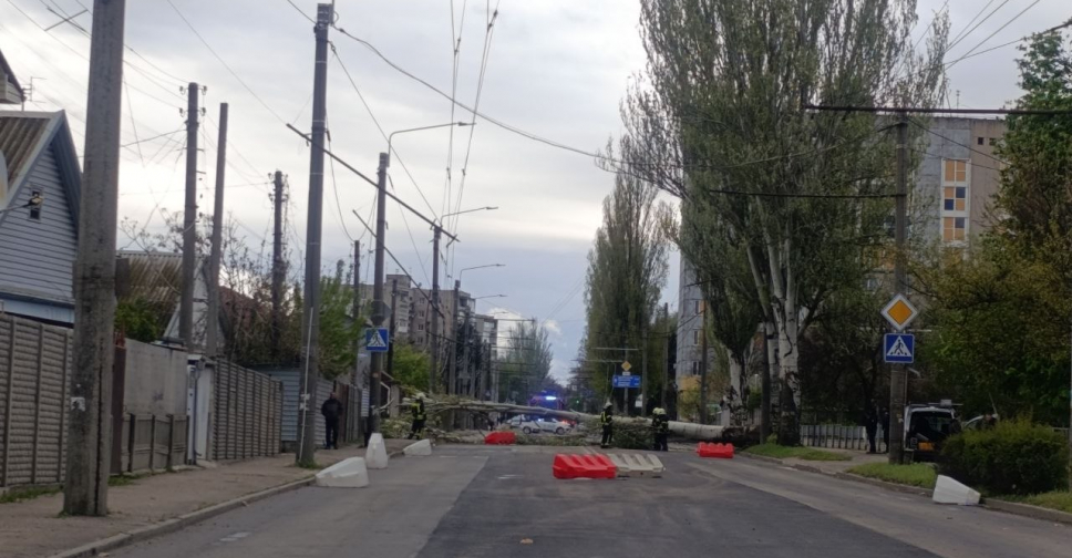 Запоріжжя накрила негода: повалені дерева, перекриті вулиці та зруйновані авто (фото)