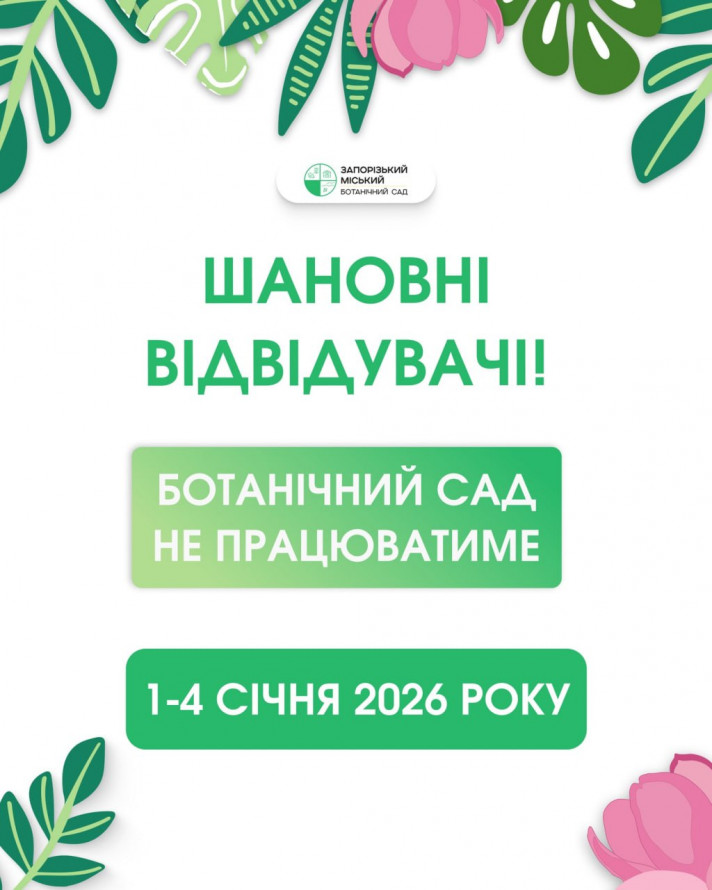 Як провести перші вихідні нового року у Запоріжжі - афіша культурних подій