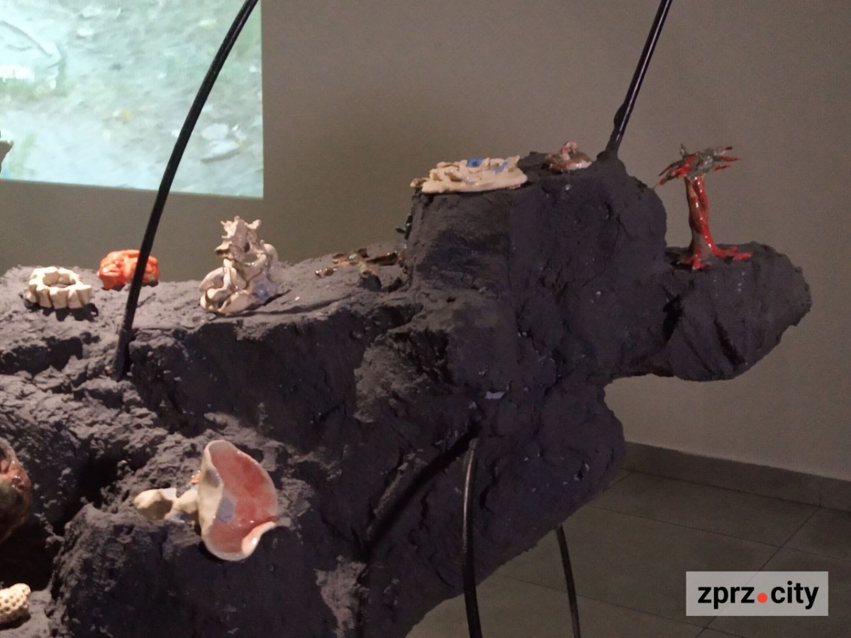 Запорізький центр сучасного мистецтва пропонує зануритись у чужі спогади (фото)