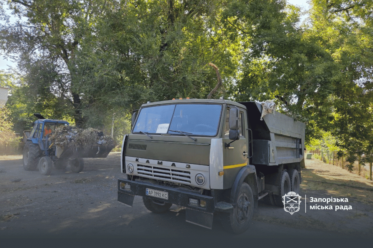 У дворі в історичній частині Запоріжжя влаштували величезне стихійне сміттєзвалище