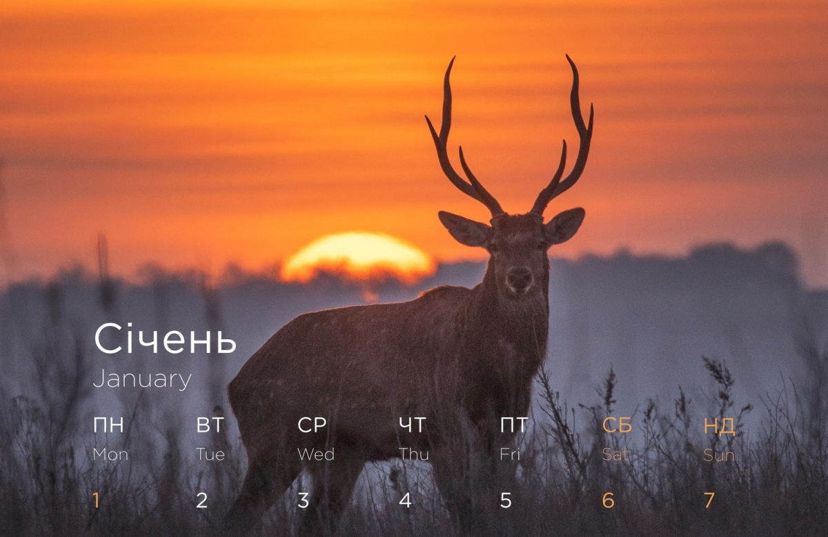 Відомий фотохудожник підготував календар на 2024 рік із дивовижними знімками Хортиці