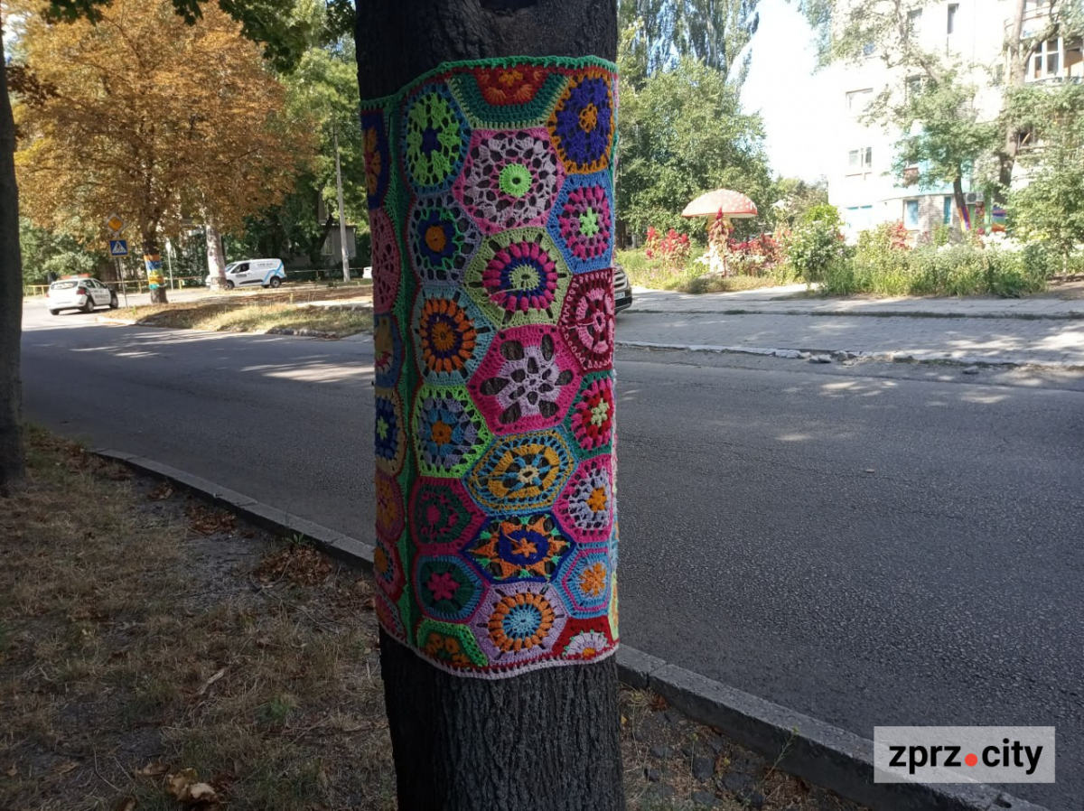 Мухомор бажань, черепаха та дерева у "светрах": де у Запоріжжі побачити незвичайну локацію (фото)
