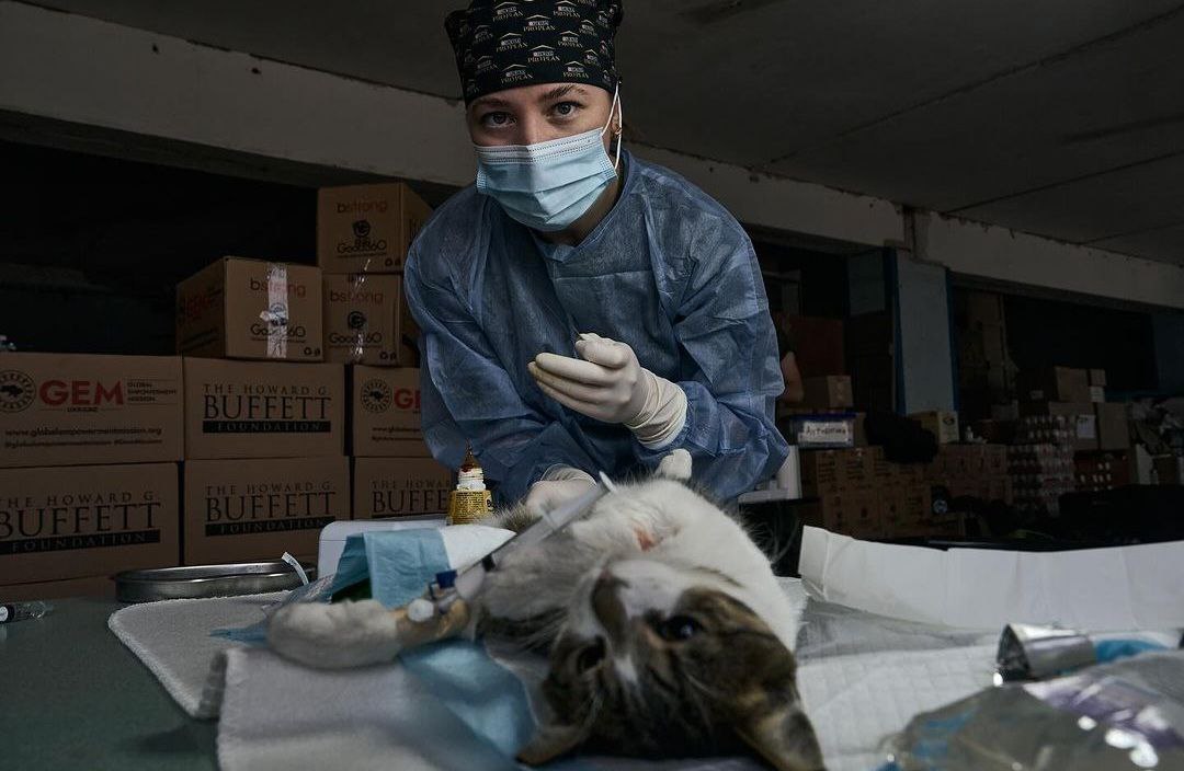 Під обстрілами у Запорізькій області медики-волонтери провели незвичні операції - фото