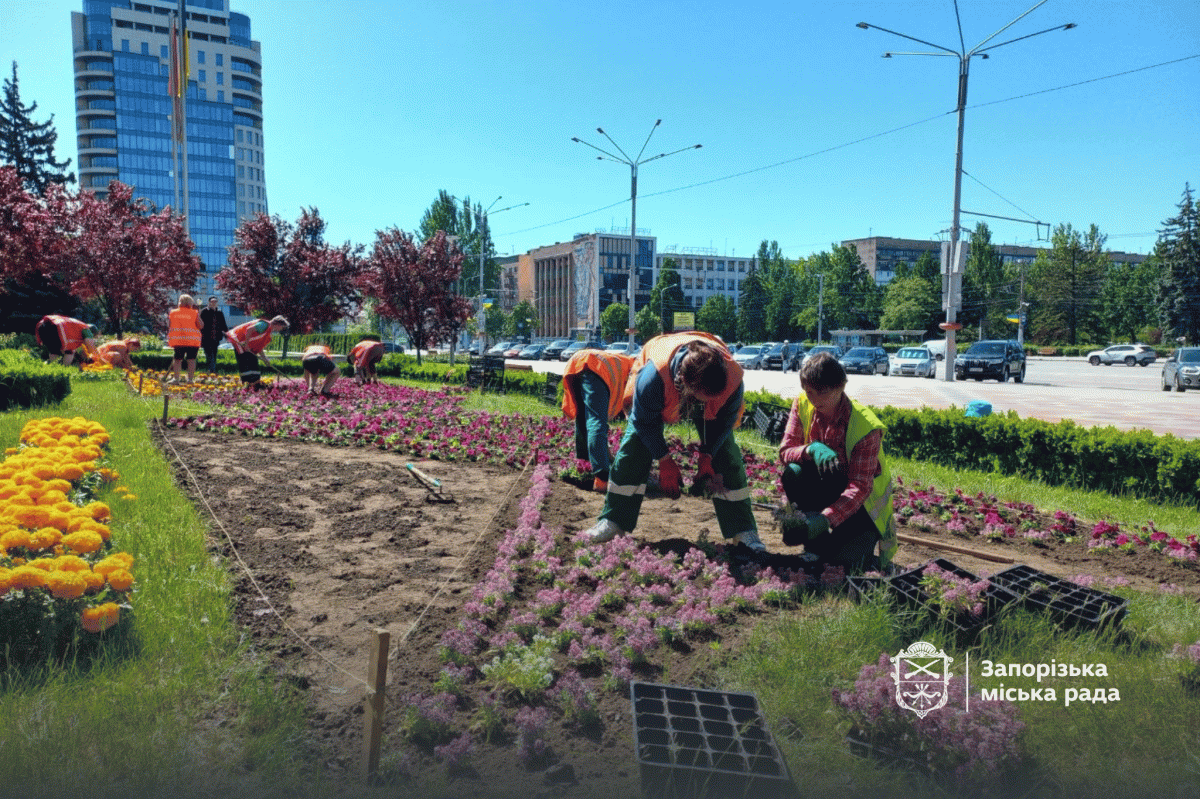 На Майдані Героїв комунальники висаджують тисячі квітів, із яких створять сезонний орнамент.