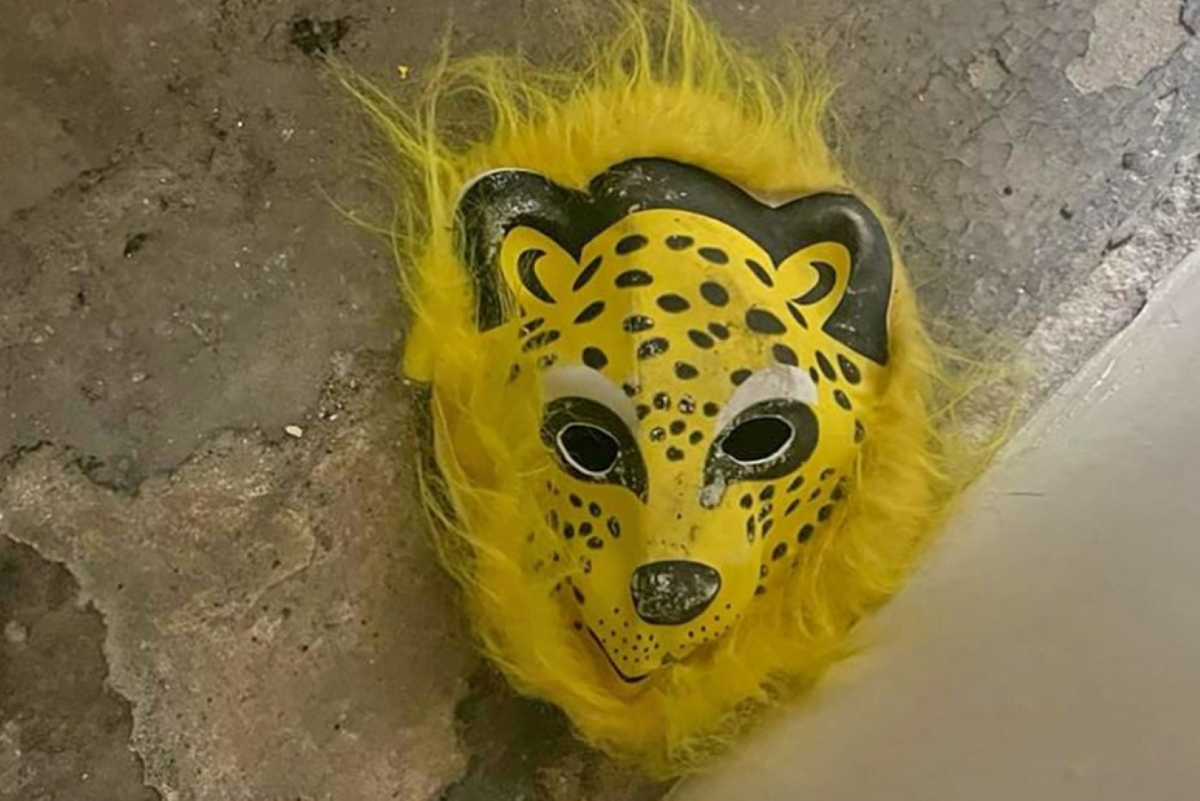 "Вполювали" звіра: у Запоріжжі спіймали жорстокого грабіжника у масці леопарда