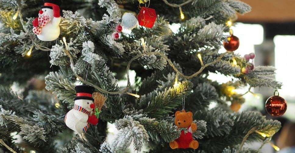 Запоріжцям пропонують ставити новорічні ялинки біля будинків