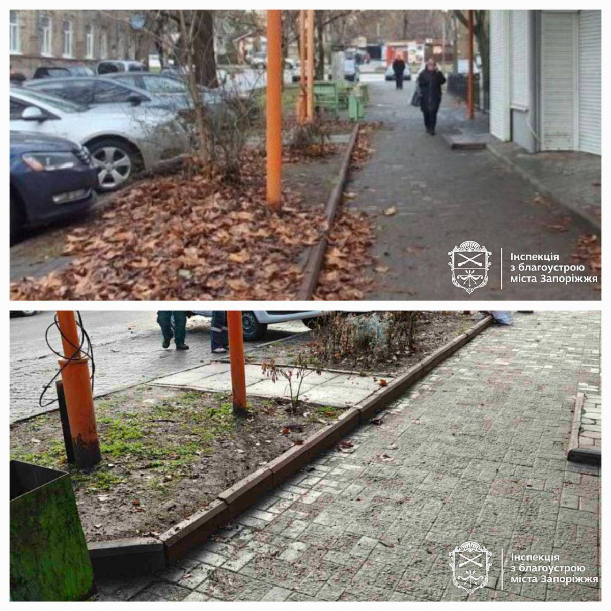Благоустрій на контролі: у Запоріжжі зафіксували десятки порушень та прибрали незаконну рекламу (фото)