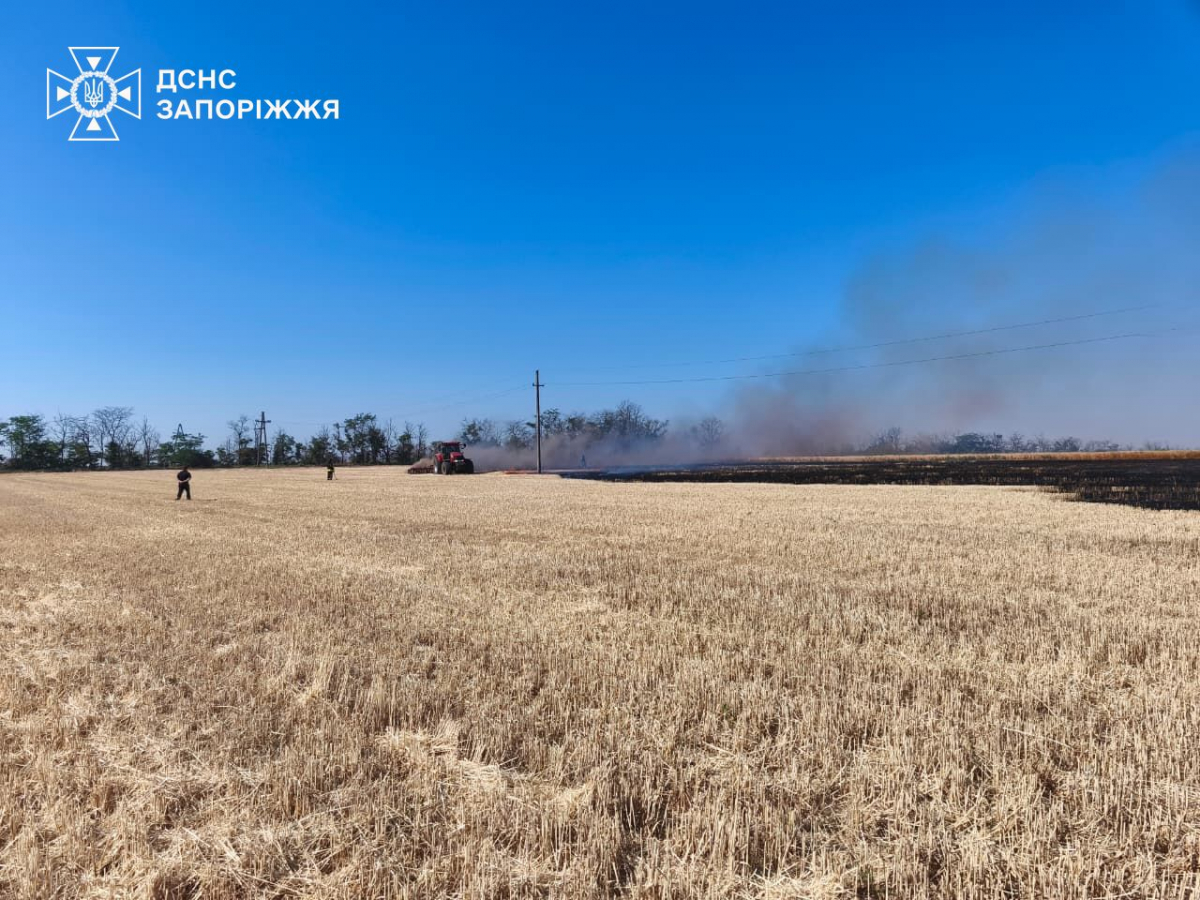 Росіяни знищили 1850 гектарів посівів: як Запорізька область проводить жнива під обстрілами