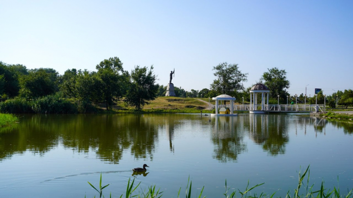 У найвідвідуванішому місці Запоріжжя висадили молоді дуби - акція об’єднала ветеранів, молодь та поліцію (фото)