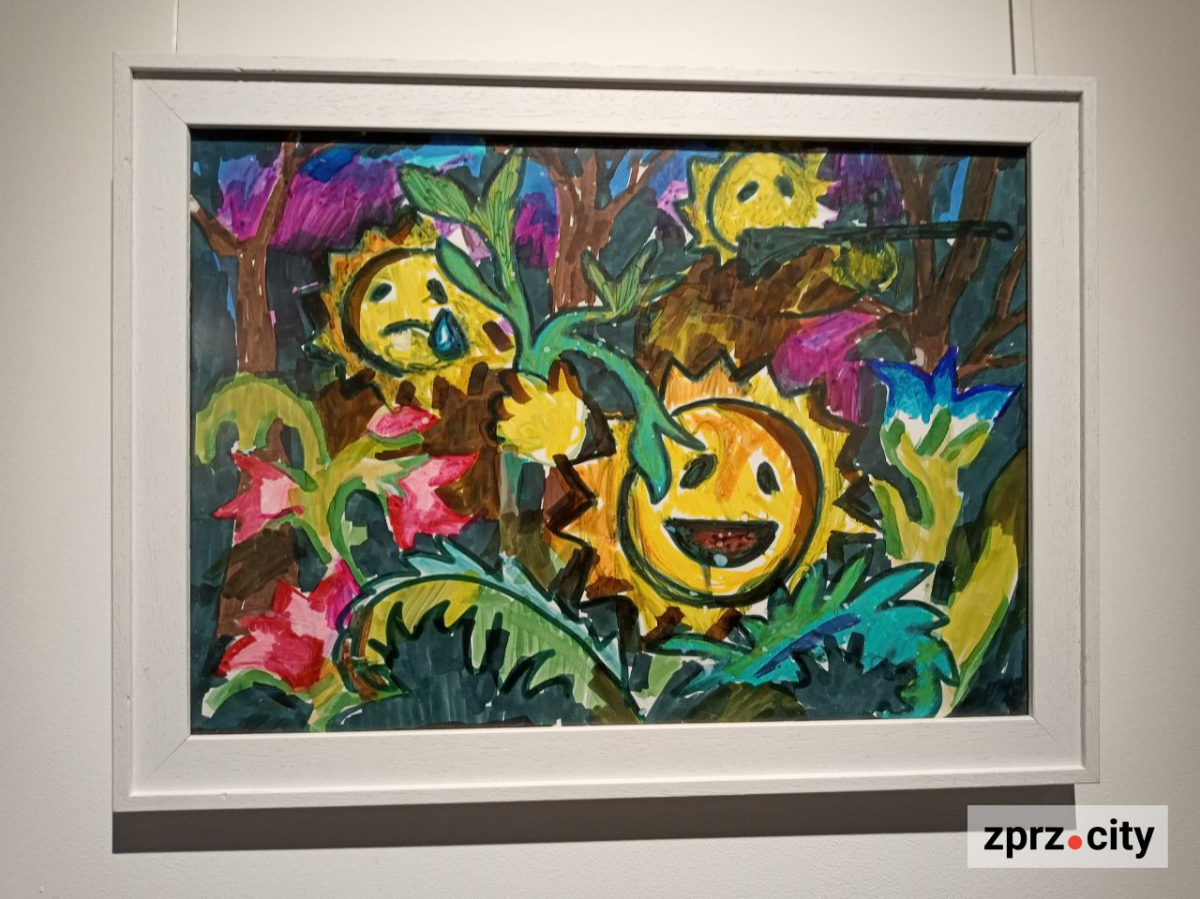 Як у соцмережах: у Запоріжжі відкрили виставку про не цивільне життя (фото)