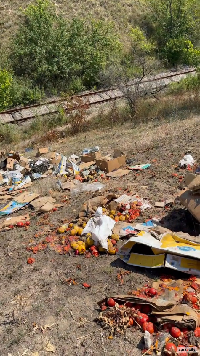 Гори гнилих помідорів просто неба: у Хортицькому районі Запоріжжя шукають порушників (фото, відео)