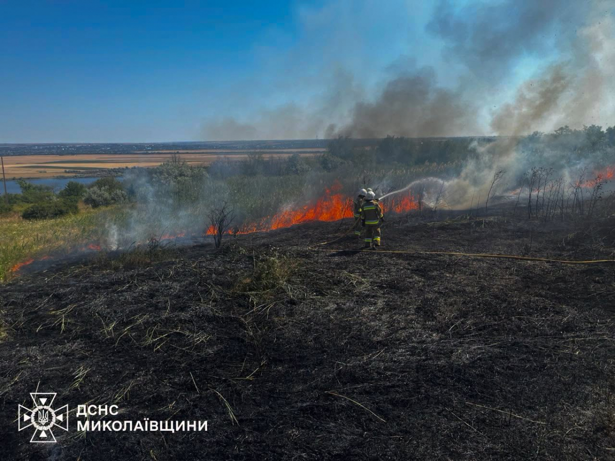 Росіяни знищили 1850 гектарів посівів: як Запорізька область проводить жнива під обстрілами