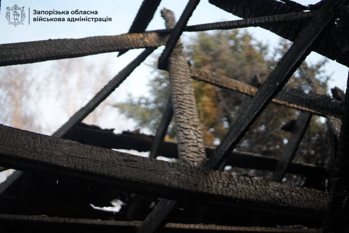 Вночі Запоріжжя масовано атакували ворожі дрони - подробиці, відео та фото 