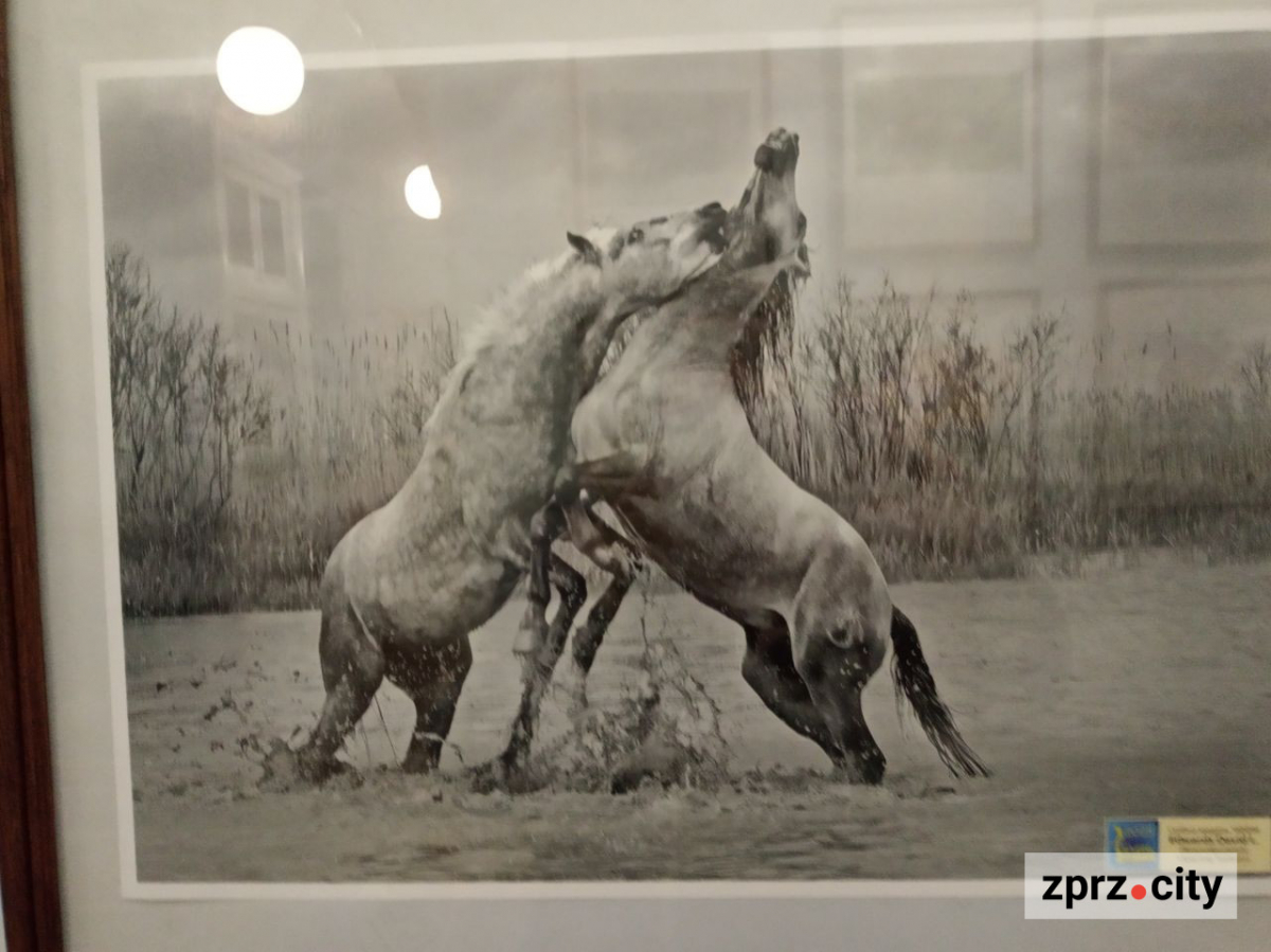 У Запоріжжі відкрили виставку найкращих фотографій з різних країн одного з міжнародних конкурсів - вхід безкоштовний