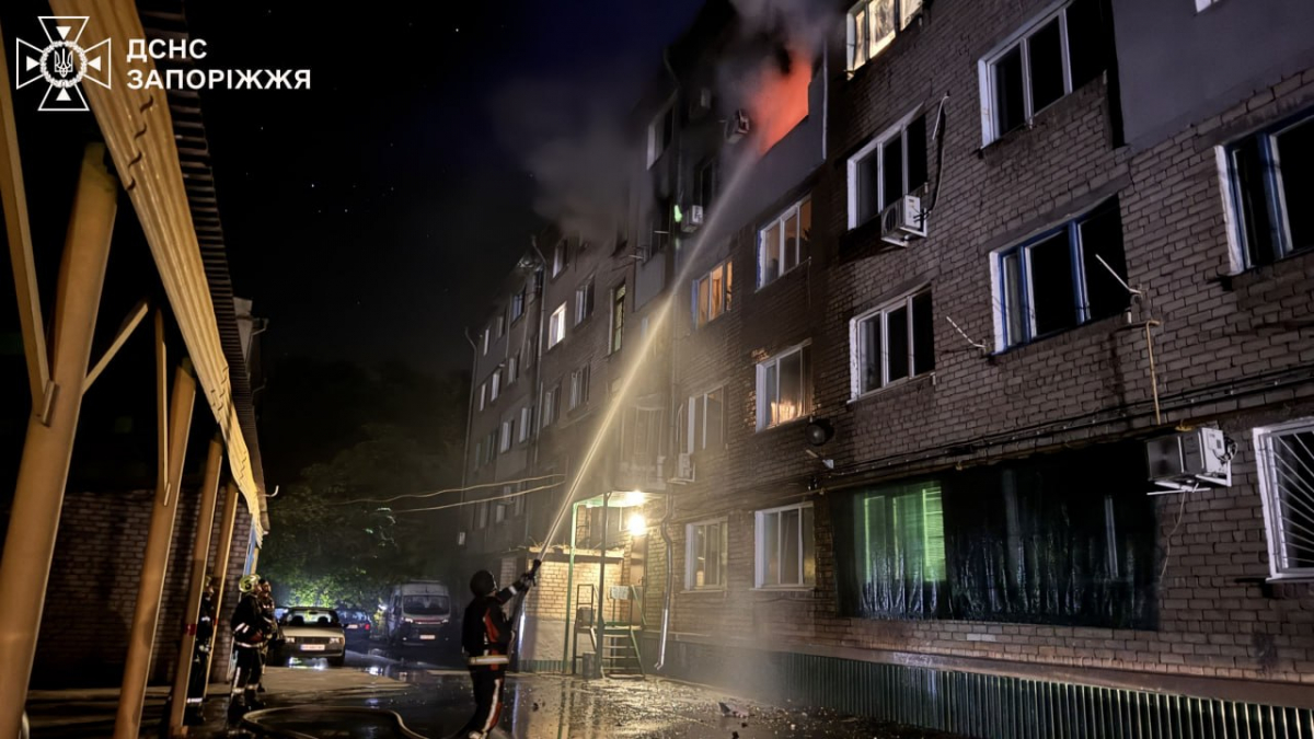 Врятували двох людей і кота - вночі сталась пожежа у запорізькій багатоповерхівці 