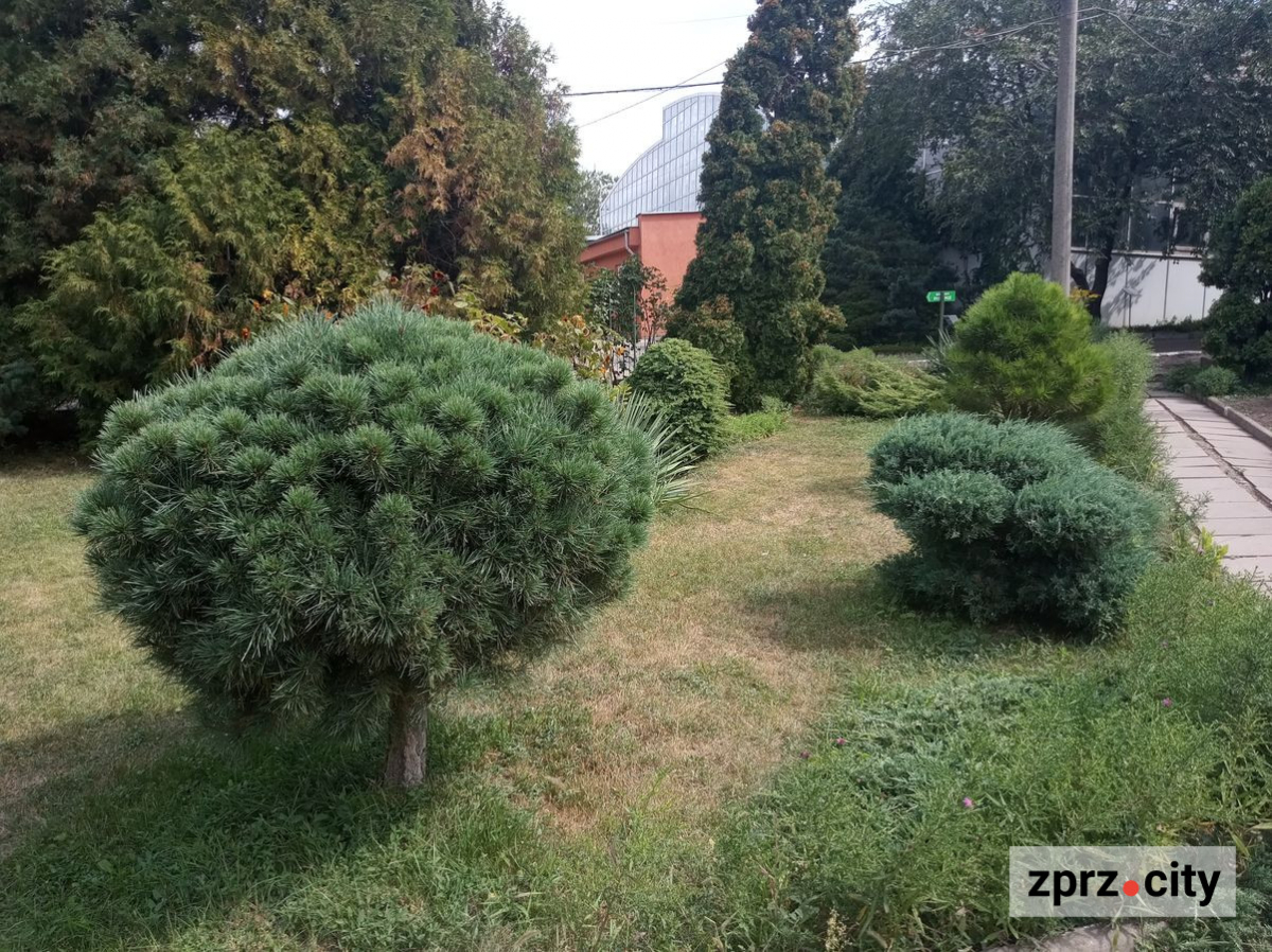 Запорізький ботанічний сад