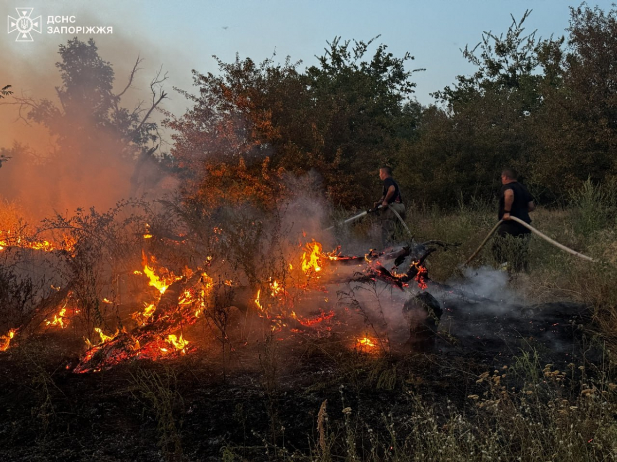 На Хортиці сталась масштабна пожежа, яку бачили багато містян - ведеться розслідування (фото)