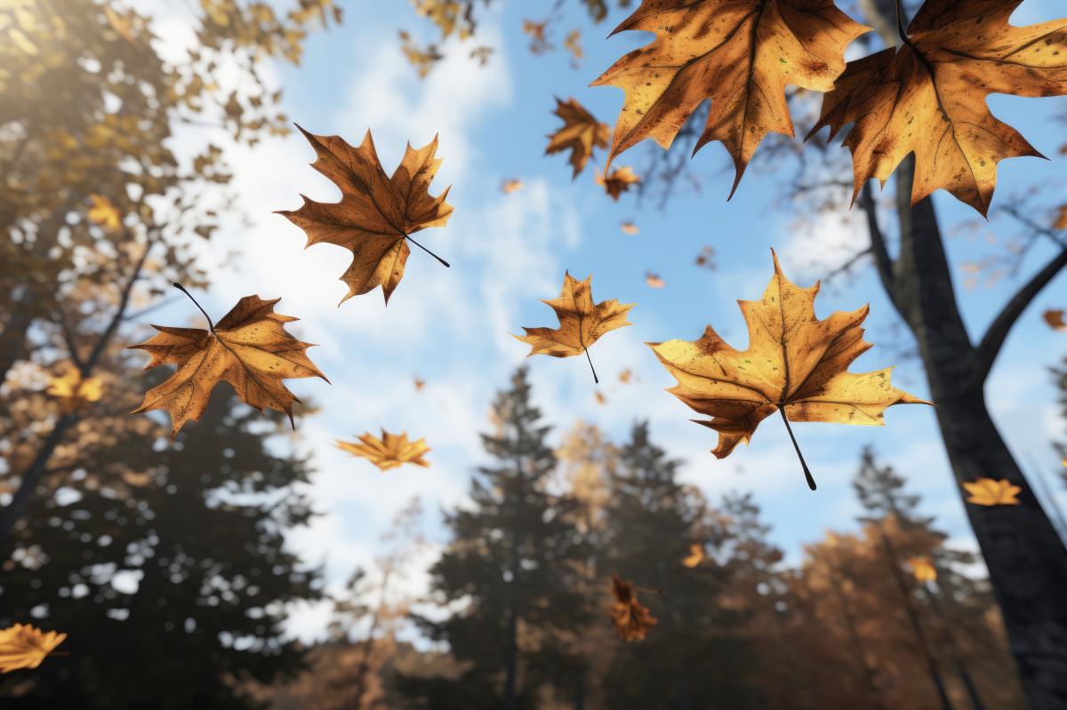 Надворі справжня осінь: яка буде погода у Запоріжжі протягом наступних двох днів