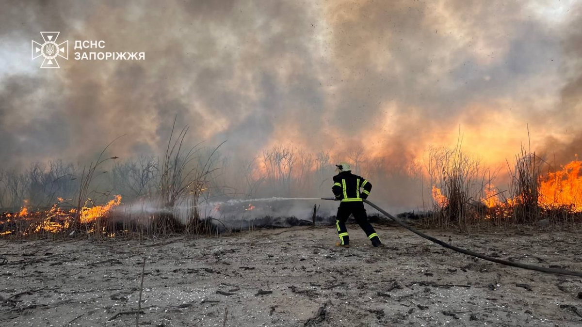 Масштабну пожежу у плавневій зоні Дніпра під Запоріжжям гасили понад чотири години - фото