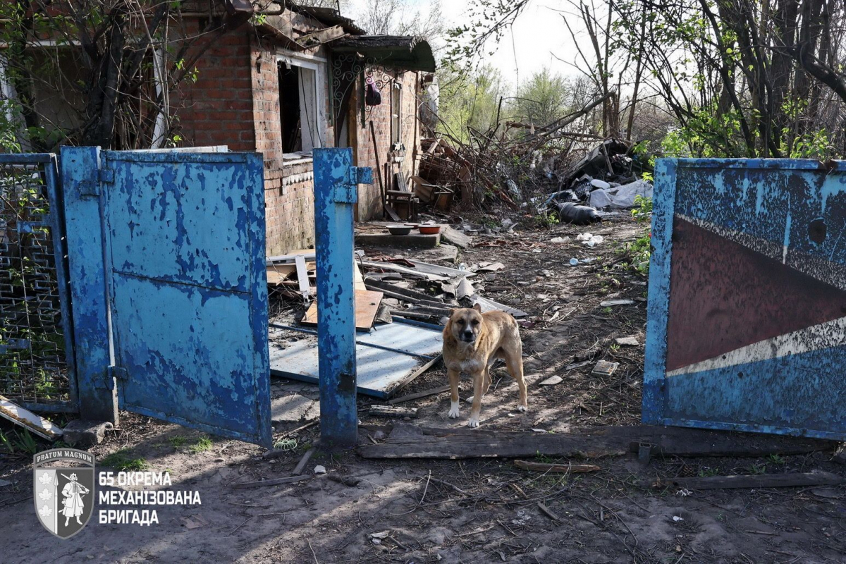 Спустошені, але вільні: як сьогодні виглядають прифронтові села Запорізької області (фото)