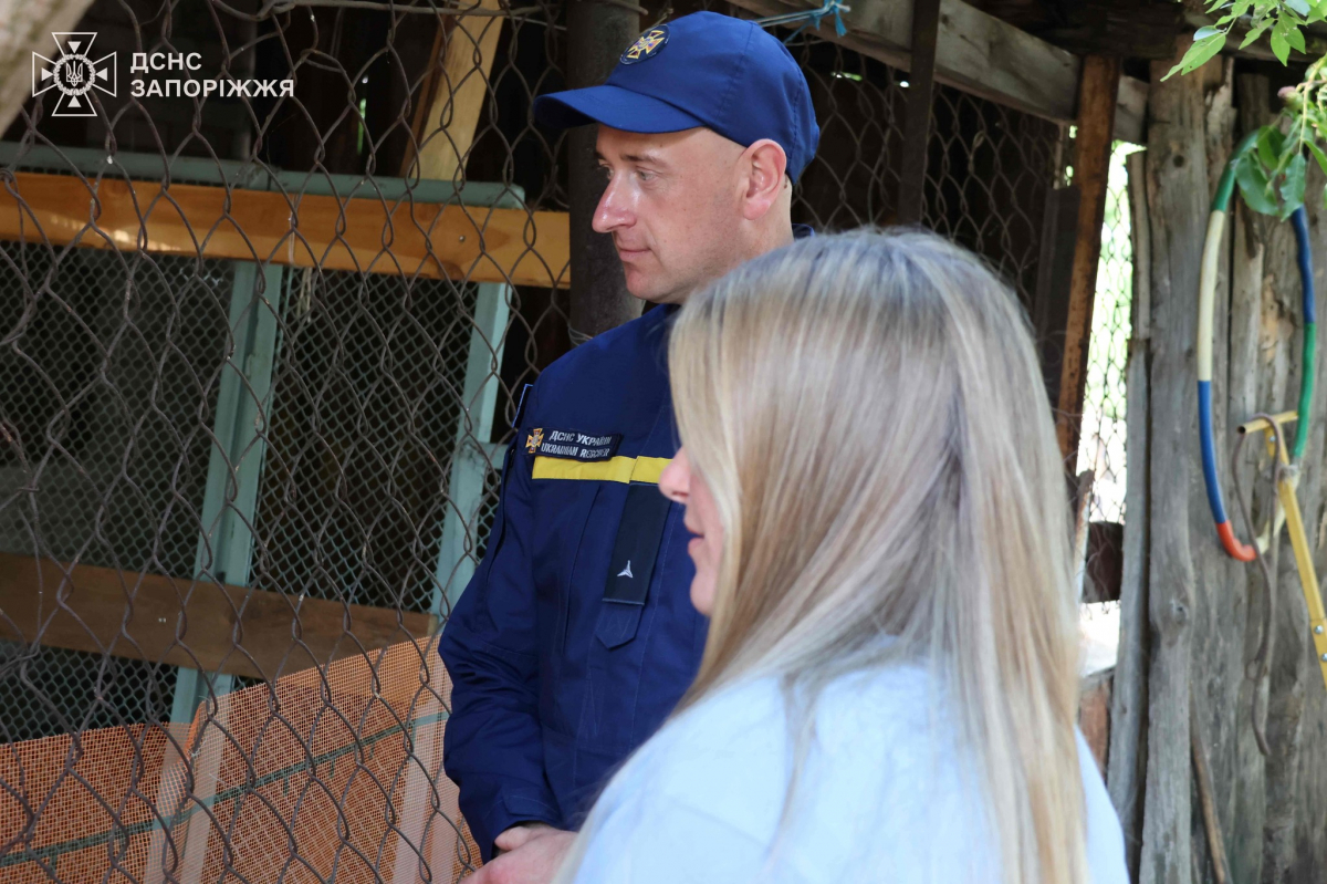 Тваринка лежала у згорілій траві нерухомо - надзвичайники розповіли нові подробиці про врятованих під час пожежі на Хортиці козуль