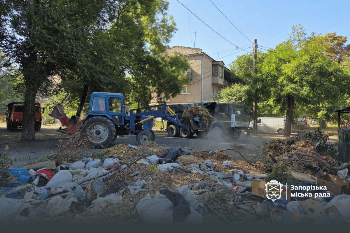 У дворі в історичній частині Запоріжжя влаштували величезне стихійне сміттєзвалище