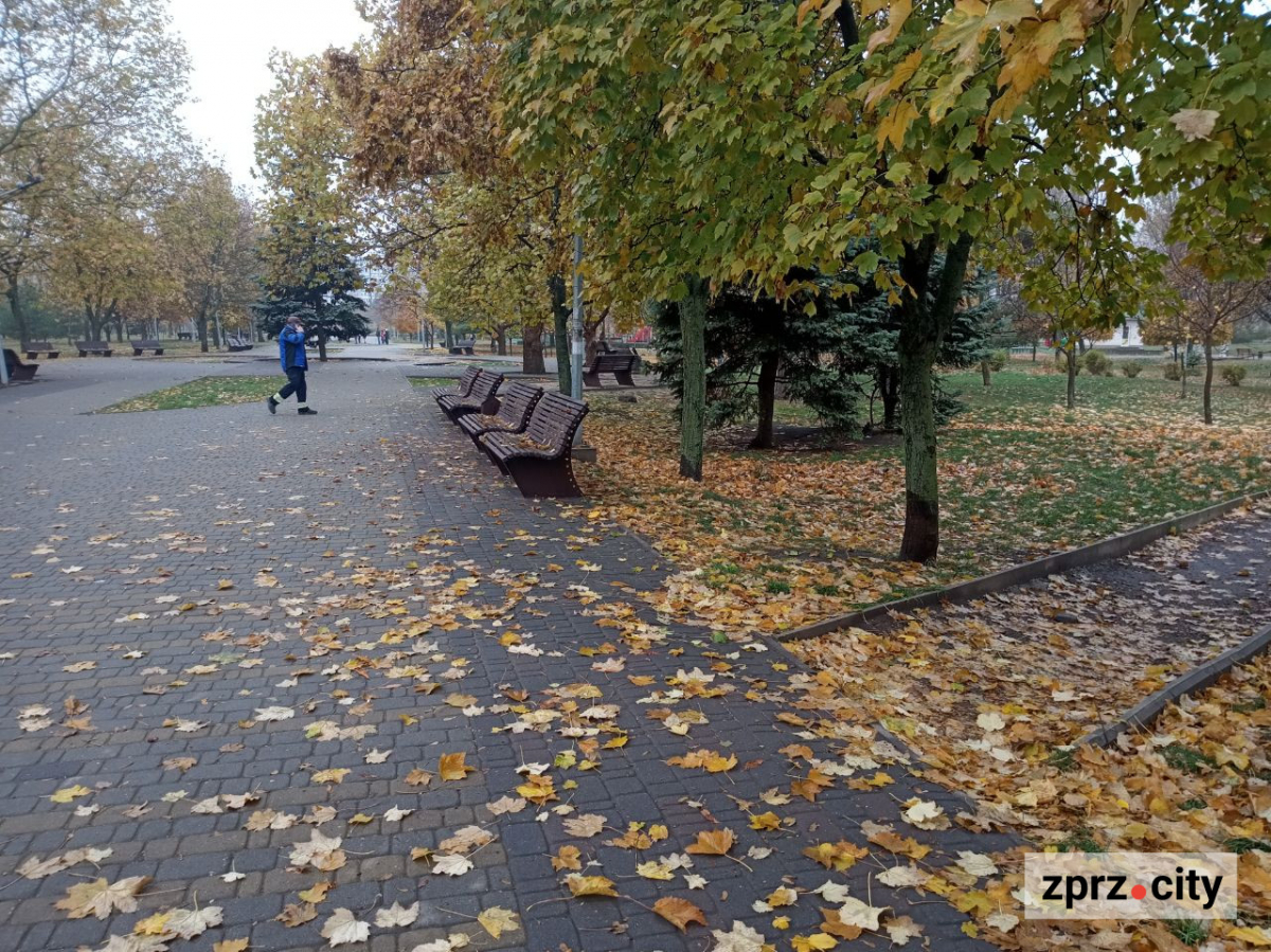 У головному парку спального району Запоріжжя почали ремонт лавок, на який мешканці чекали декілька років - фото