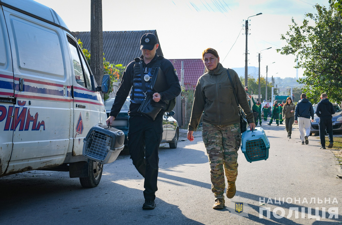 Під час ворожого обстрілу Запоріжжя літнє подружжя дивом врятувалося, а їхнім домашнім улюбленцям не пощастило - відео, фото