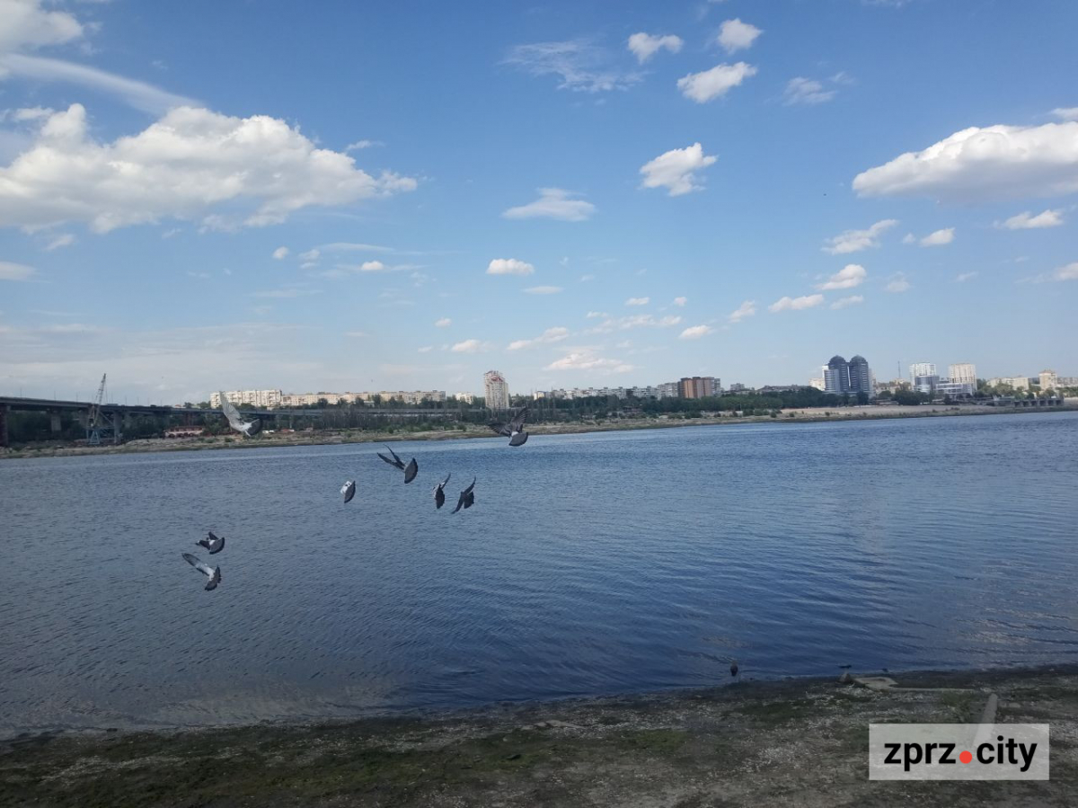 Хортиця
