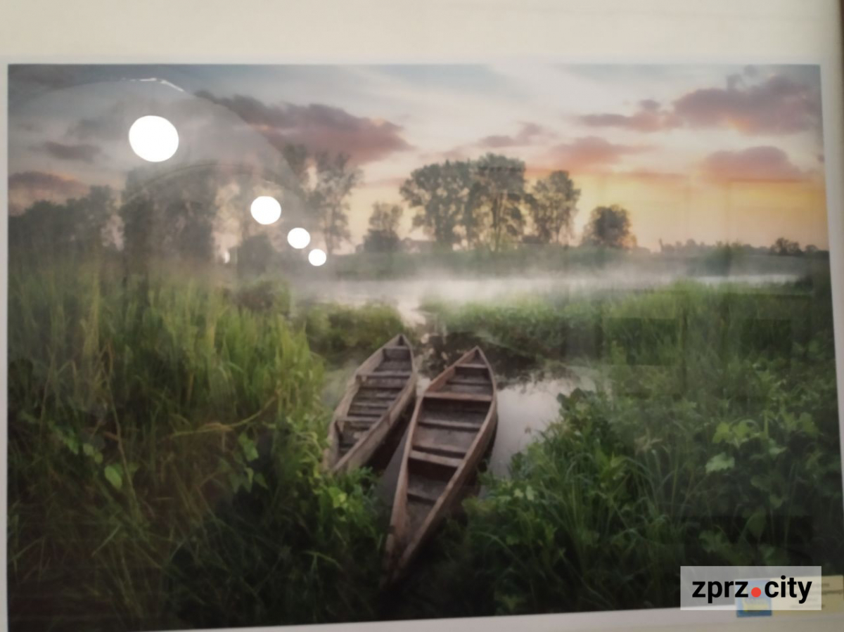 У Запоріжжі відкрили виставку найкращих фотографій з різних країн одного з міжнародних конкурсів - вхід безкоштовний
