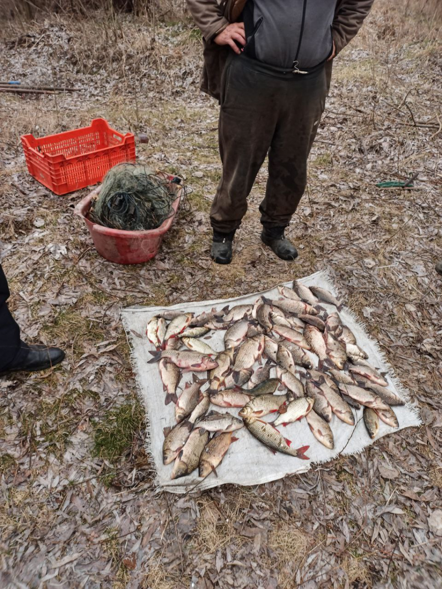 У Запорізькому районі браконьєри наловили риби за два дні на 300 тисяч гривень