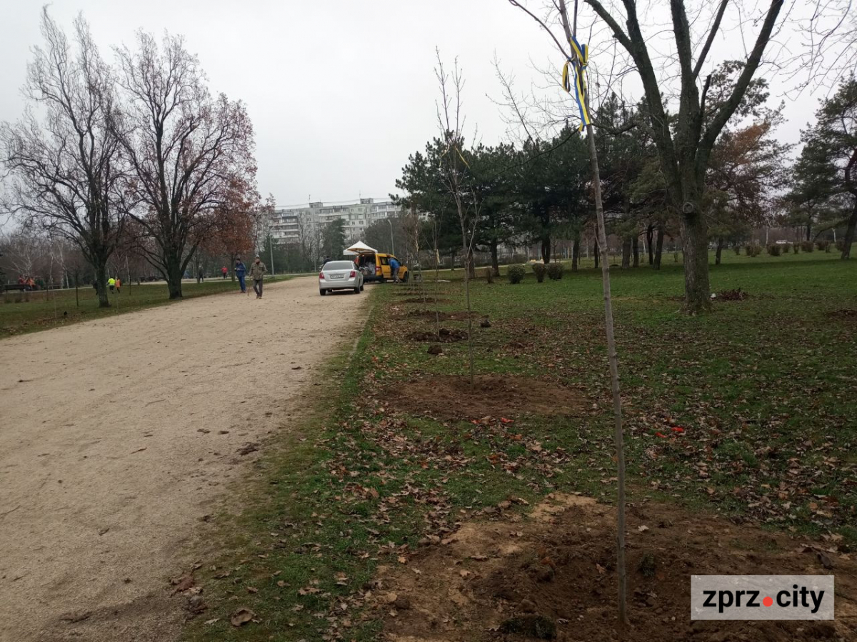 У запорізькому парку висадили більше ста лип і кленів - є унікальний сорт (фото)