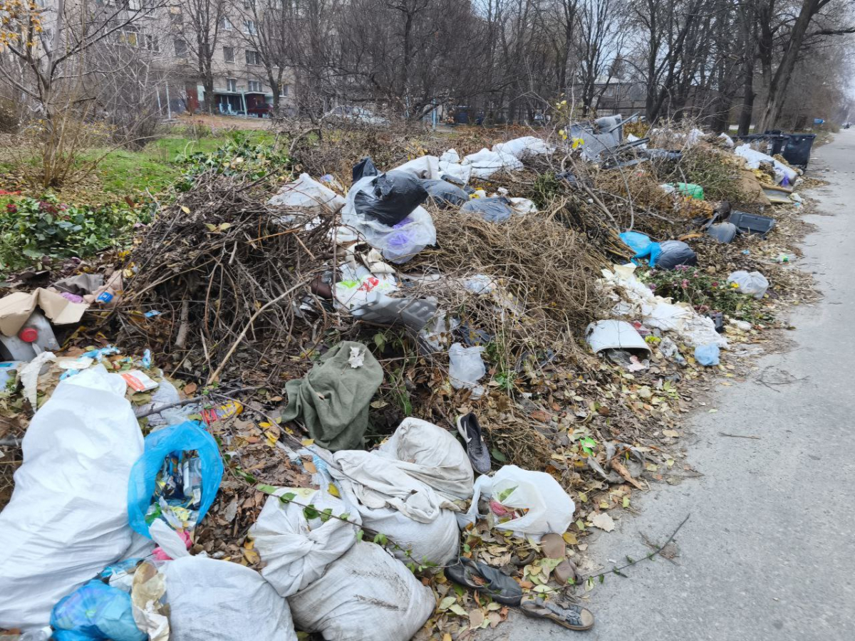 У Комунарському районі виявили чергове сміттєзвалище (фото)