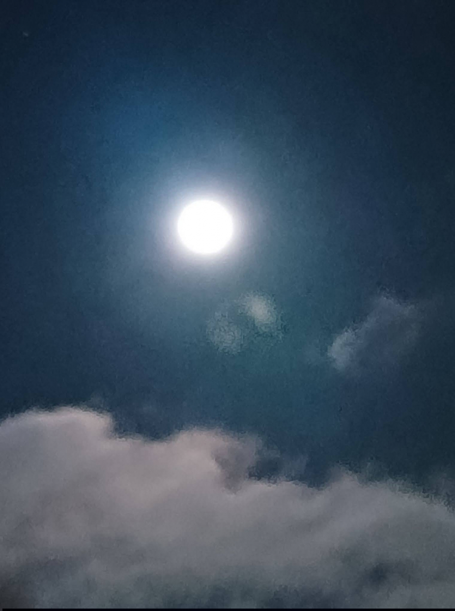 Неймовірно гарно - запоріжці поділились в соцмережах фото повні Сніжного місяця