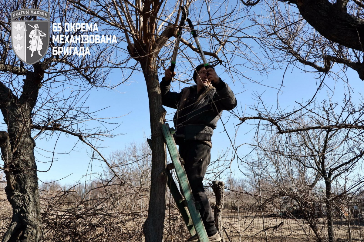 Собаки все ще чекають повернення господарів: як виглядає село Запорізького району у кіл-зоні (фото)