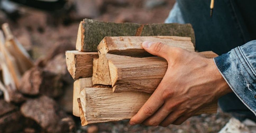Мешканці Запорізької області можуть безкоштовно отримати дрова: куди звертатися