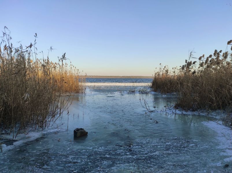 Замерзлий Дніпро і соковита зелена трава: як виглядає популярне місце відпочинку на природі в Запоріжжі - фото