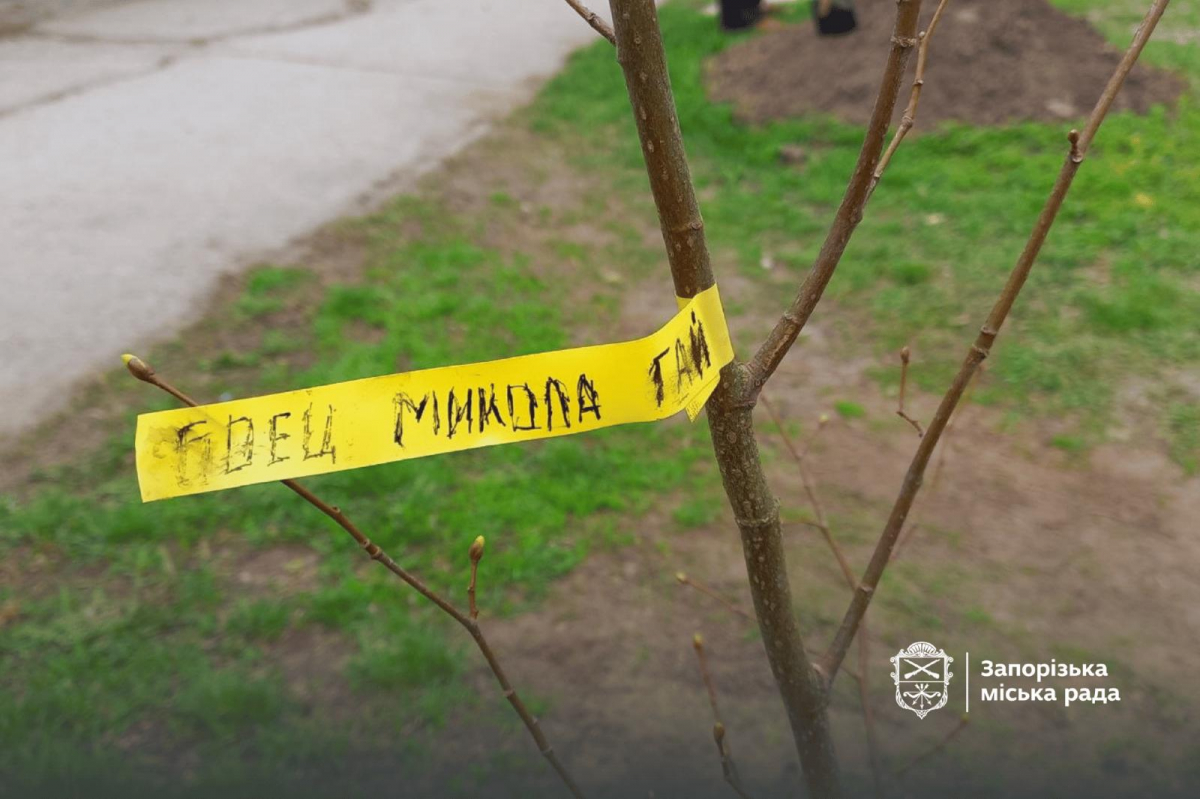 Живий символ пам'яті: в Запоріжжі висадили іменні липи для «азовців» (фото, відео)