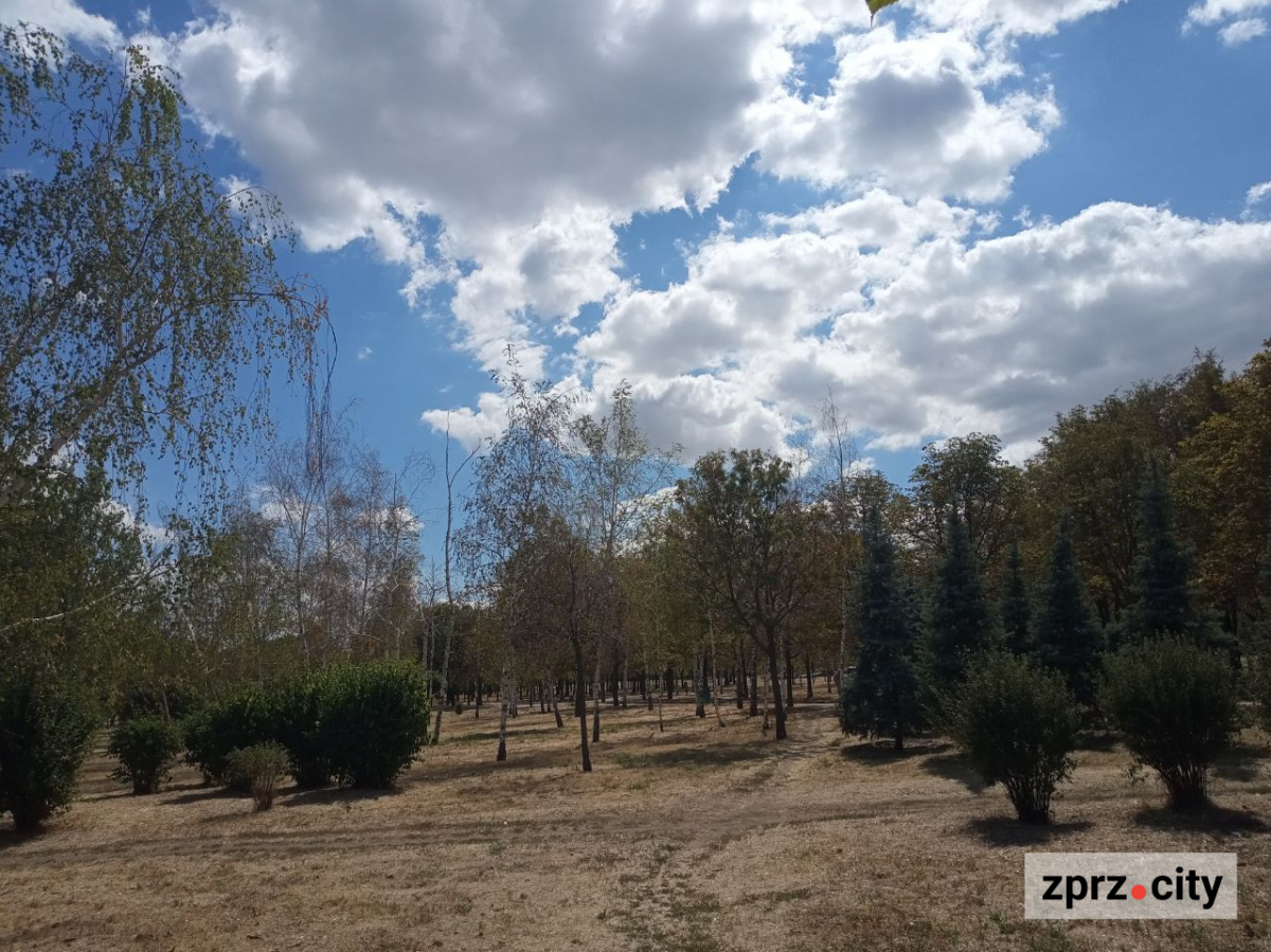 У запорізькому парку "попрацювали" вандали - фото