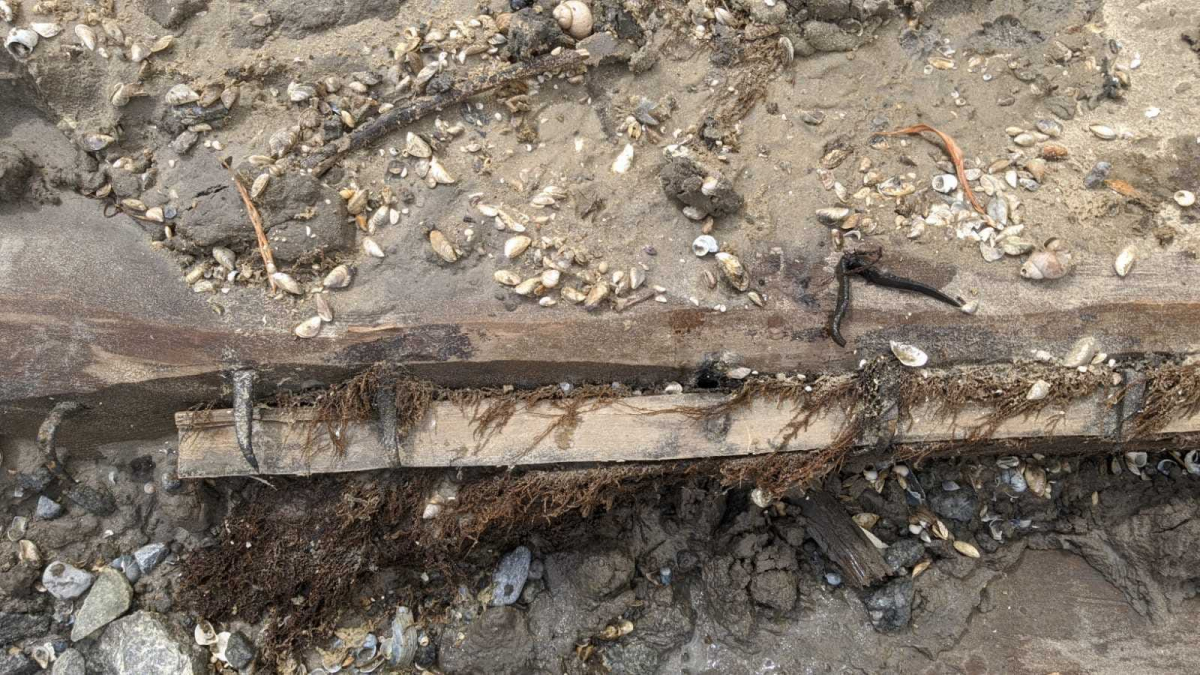 У Запоріжжі, в Дніпрі, люди знайшли човен, якому близько ста років - фото